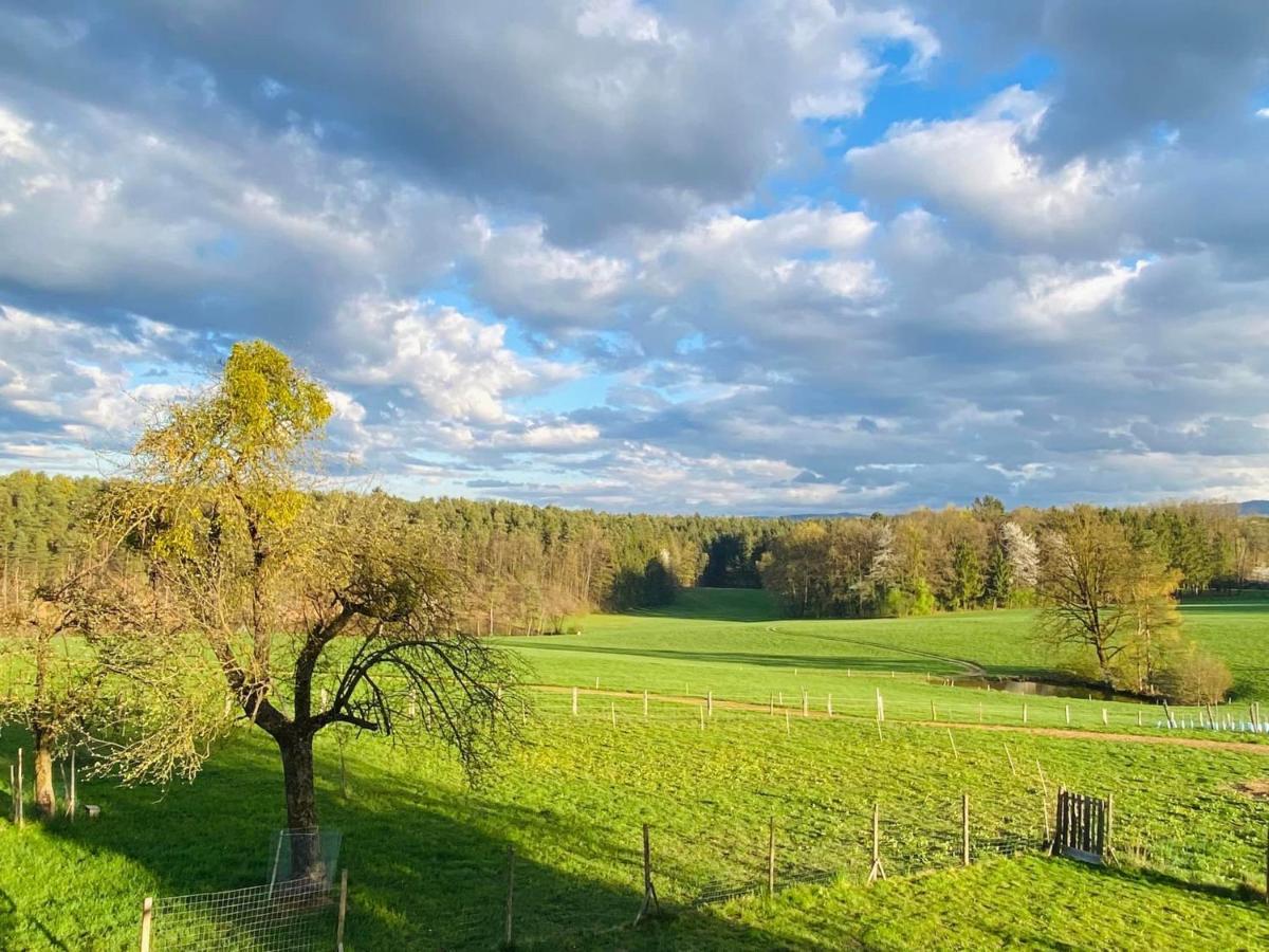 Вілла Lebenshof Varm - Die Vegane Farm Sulb Екстер'єр фото