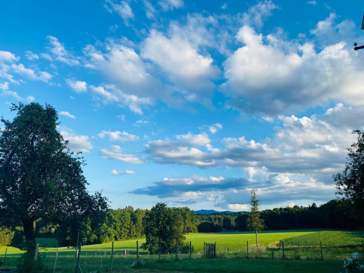 Вілла Lebenshof Varm - Die Vegane Farm Sulb Екстер'єр фото